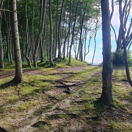 Apartment Przytulna Debina